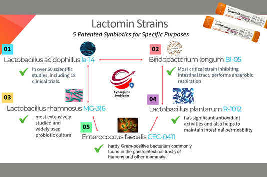 The Synergistic Strains of Lactomin