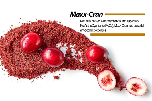 Maxx-Cran Cranberry Extract Benefits